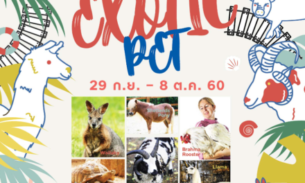 บลูพอร์ต หัวหิน ต้อนรับปิดเทอม รวบรวมสัตว์แปลกแสนน่ารัก ในงาน “Exotic Pet”