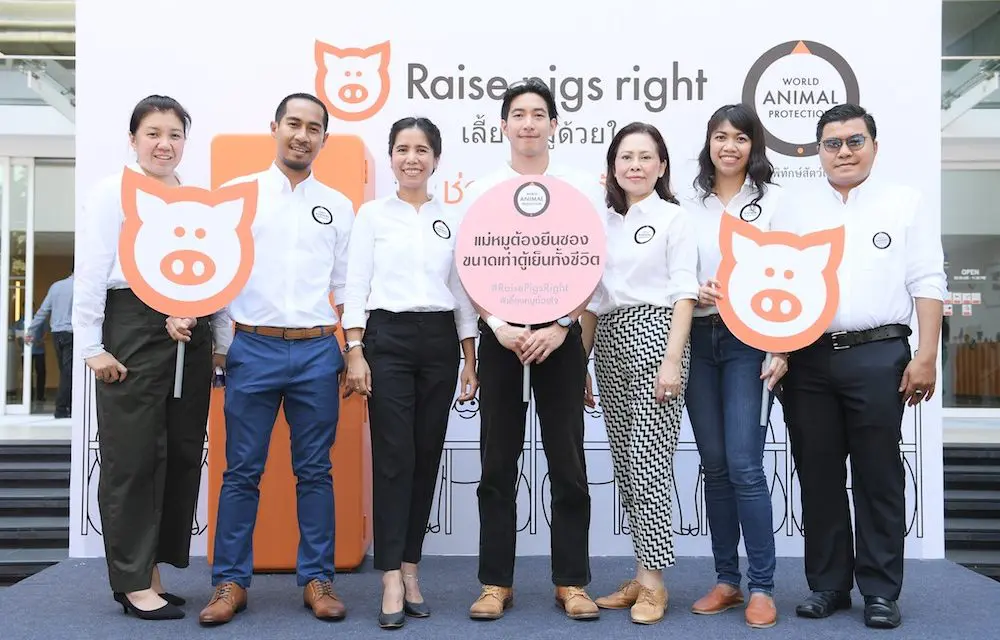 องค์กรพิทักษ์สัตว์แห่งโลก (World Animal Protection) ลุยโครงการ “เลี้ยงหมูด้วยใจ Raise Pigs Right”