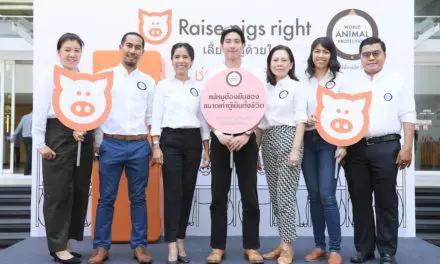 องค์กรพิทักษ์สัตว์แห่งโลก (World Animal Protection) ลุยโครงการ “เลี้ยงหมูด้วยใจ Raise Pigs Right”