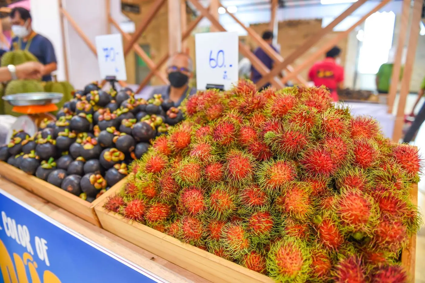 THE COLOR OF DURIAN & EASTERN FRUITS