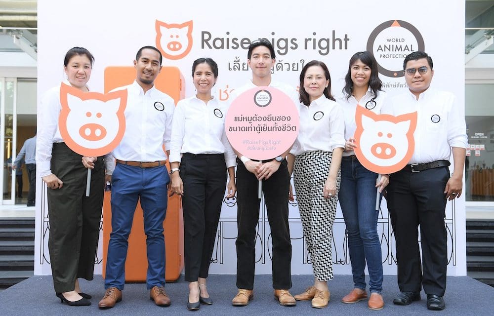 องค์กรพิทักษ์สัตว์แห่งโลก (World Animal Protection) ลุยโครงการ “เลี้ยงหมูด้วยใจ Raise Pigs Right”