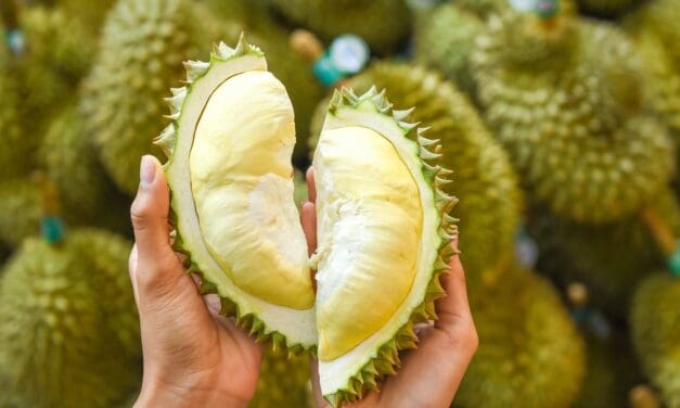 กรมส่งเสริมการเกษตร ร่วมกับ ศูนย์การค้า เดอะ มาร์เก็ต แบงคอก จัดงาน “THE COLOR OF DURIAN & EASTERN FRUITS” ยกขบวนผลไม้อัตลักษณ์อันดับหนึ่งจาก 9 จังหวัดภาคตะวันออก เก็บสดจากมือชาวสวน …ชวนผู้บริโภคอิ่มอร่อยสุดคุ้มใจกลางเมือง 11 – 15 พ.ค. 65